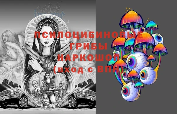 бошки Бородино