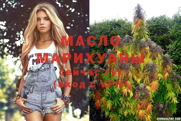 бошки Бородино